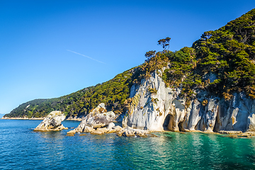 Image showing Creek in Abel Tasman National Park, New Zealand