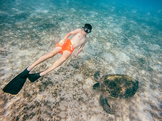 Image showing Young boy Snorkel swim with green sea turtle, Egypt
