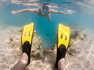 Image showing Woman snorkel with school of coral fish, Red Sea, Egypt