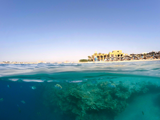 Image showing Underwater surface split view of coral fish and Egypt