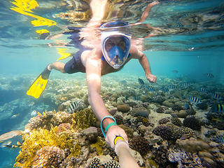 Image showing man snorkel in shallow water on coral fish