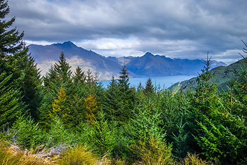 Image showing Lake Wakatipu and mountain forest, New Zealand