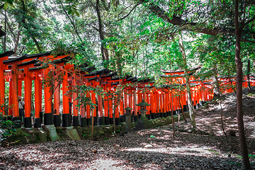 Image showing Fushimi Inari Taisha torii, Kyoto, Japan