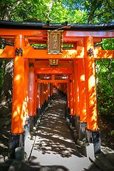 Image showing Fushimi Inari Taisha torii, Kyoto, Japan