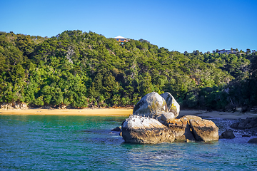 Image showing Round stone boulder in Abel Tasman National Park, New Zealand