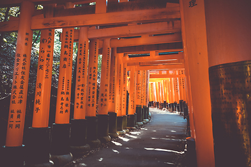 Image showing Fushimi Inari Taisha torii, Kyoto, Japan