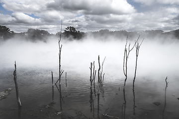 Image showing Misty lake and forest in Rotorua, New Zealand