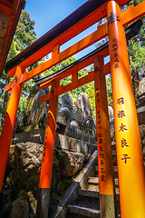 Image showing Fushimi Inari Taisha torii, Kyoto, Japan