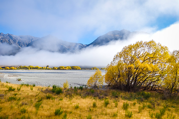 Image showing Yellow forest and river in New Zealand mountains