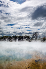 Image showing Hot springs lake in Rotorua, New Zealand