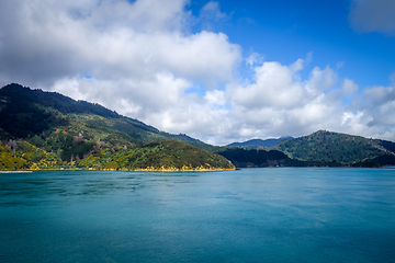 Image showing Marlborough Sounds, New Zealand