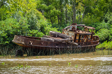 Image showing Old boat on the Tigre river Delta. Buenos Aires