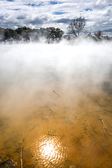 Image showing Hot springs lake in Rotorua, New Zealand