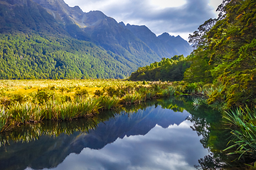 Image showing Lake in Fiordland national park, New Zealand