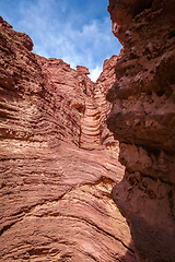 Image showing Amphitheatro in Quebrada de las Conchas, Salta, Argentina