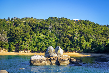 Image showing Round stone boulder in Abel Tasman National Park, New Zealand