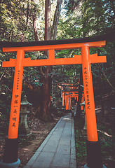 Image showing Fushimi Inari Taisha torii, Kyoto, Japan