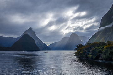 Image showing Milford Sound, fiordland national park, New Zealand