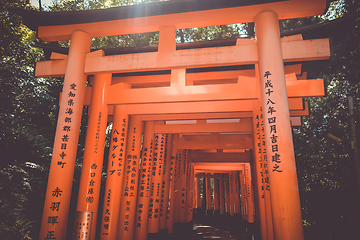 Image showing Fushimi Inari Taisha torii, Kyoto, Japan