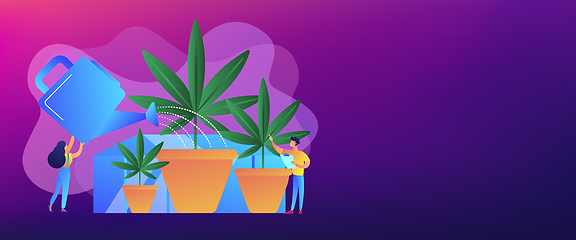 Image showing Cannabis cultivation concept banner header.