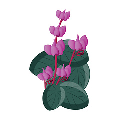 Image showing Vector illustration of pink cyclamen flowers with green leafs on