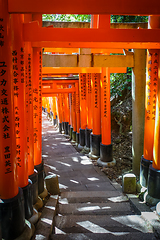 Image showing Fushimi Inari Taisha torii, Kyoto, Japan