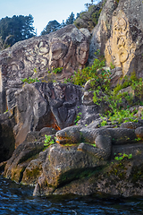 Image showing Maori rock carvings, Taupo Lake, New Zealand