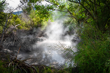 Image showing Rotorua hot springs, New Zealand