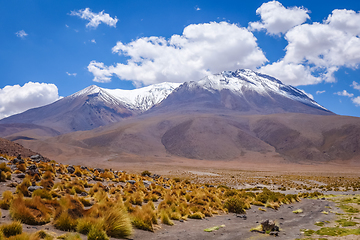 Image showing Altiplano mountains in sud Lipez reserva, Bolivia
