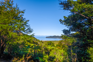 Image showing Track view in Abel Tasman National Park, New Zealand