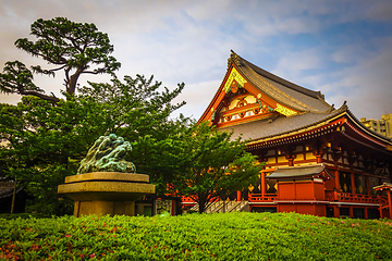 Image showing Senso-ji temple Hondo at sunset, Tokyo, Japan