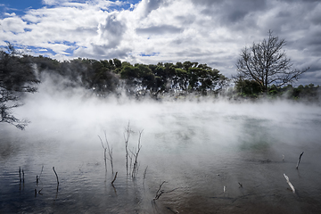 Image showing Misty lake and forest in Rotorua, New Zealand