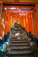 Image showing Fushimi Inari Taisha torii, Kyoto, Japan