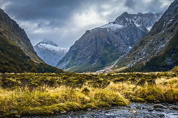 Image showing River in Fiordland national park, New Zealand