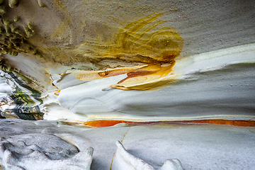 Image showing Bondi Beach coastal cliffs detail , Sydney, Australia