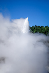 Image showing Geyser in Waiotapu, Rotorua, New Zealand