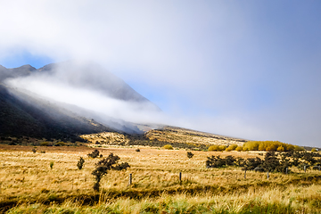 Image showing Mountain fields landscape in New Zealand