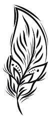Image showing Black and white feather design vector or color illustration