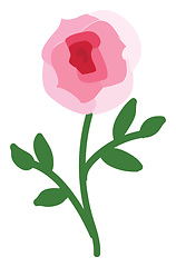 Image showing Abstract  vector illustration on white background of a pink rose