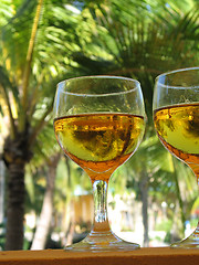 Image showing beer glasses close up in a tropical layout