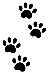 Image showing paws of a dog