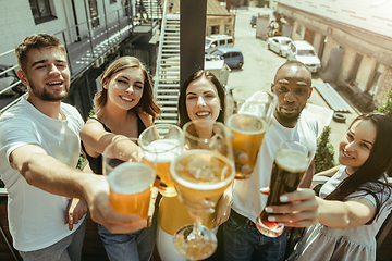 Image showing Young group of friends drinking beer and celebrating together