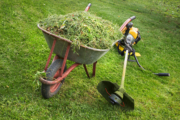 Image showing Wheelbarrow with grass and the trimmer