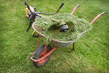 Image showing wheelbarrow with grass and petrol trimmer