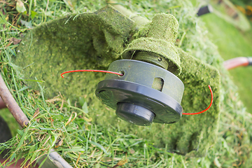 Image showing Spool Trimmer  and grass