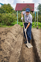 Image showing Man digging earth to build deep bed of in garden