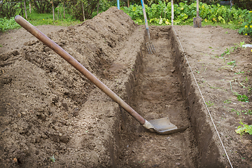 Image showing Dug a trench to arrange a deep  and warm bed of