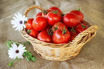 Image showing Still life of a basket of tomatoes