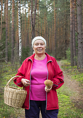 Image showing Woman found mushroom in the pine forest