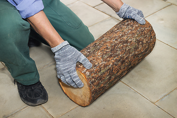 Image showing Master holds in his hands Billet of logs